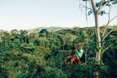 Adventurer zip-lining through a forest canopy
