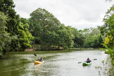 Tourists kayaking along a scenic coastline